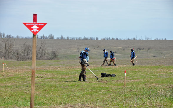 A team of deminers comb a field in Ukraine.
