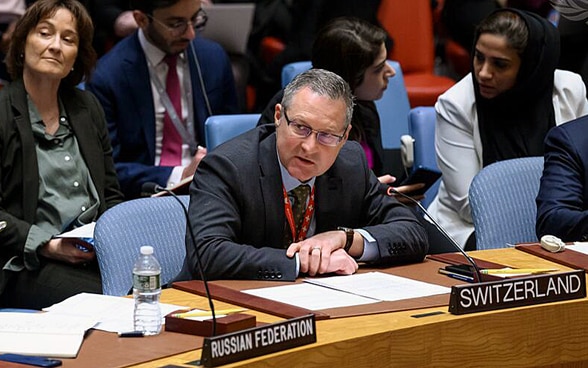 Thomas Gürber spricht am hufeisenförmigen Tisch des UNO-Sicherheitsrats in New York.