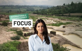 FOCUS - International cooperation