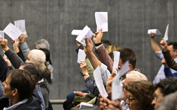 Guidelines on Democracy 2025–28