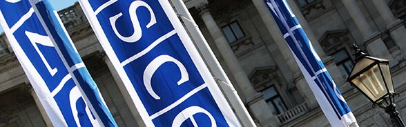 OSZE-Falggen in Wien
