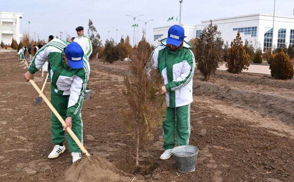 Un homme creuse un trou dans la terre, un autre tient un arbre.