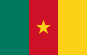 Flag Cameroon