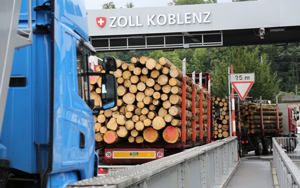 I camion aspettano davanti alla dogana svizzera a Coblenza.