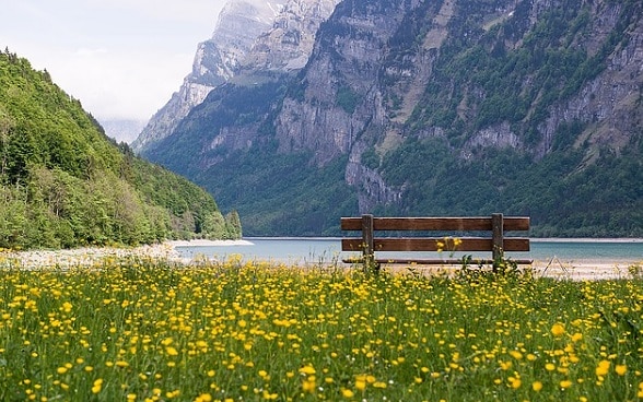 Sitzbank auf einer Wiese in den Bergen.