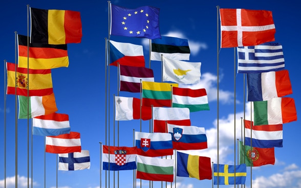The picture shows the flags of the EU member States.