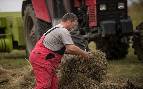 Un homme fait les foins devant son tracteur.