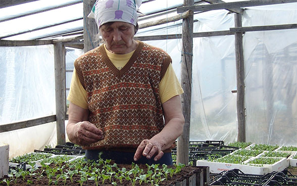 Woman on a farm in Latvia